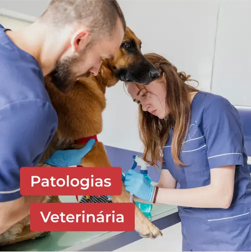 PATOLOGIAS-VETERINARIAS
