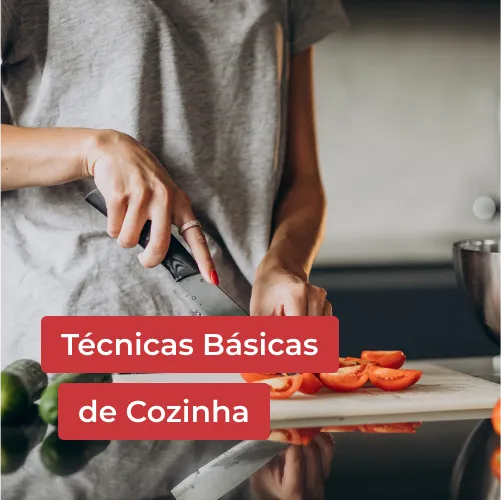 Tecnicas-Basicas-de-Cozinha-Capa